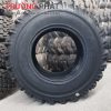 Lốp Xe Máy Xúc 16.9-24_14PR_TR461 TL_BKT
